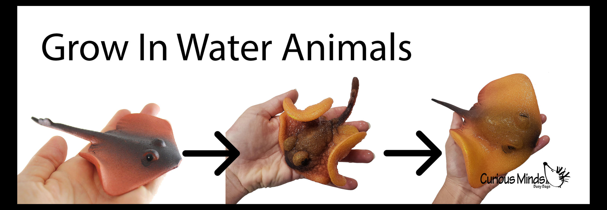 Growing Creatures Grow an Animal in Water - Add Water and it Grows up to 9