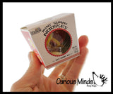Set of 3 Gummy Candy - Taco / Sushi / Take Out Chinese Noodles - Cute and Unique Food