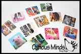 LAST CHANCE - LIMITED STOCK - 12 Mini 2-Piece Puzzles - Beginner Puzzle Busy Bag for Toddlers.  Matching and Memory Game.