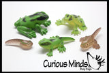 Frog (or Butterfly) Life Cycle Learning Set - Animal Figures with Matching Cards - Montessori Educational Toy