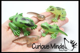 Butterfly (or Frog) Life Cycle Learning Set - Animal Figures with Matching Cards - Montessori Educational Toy
