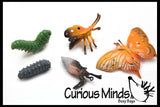 Butterfly (or Frog) Life Cycle Learning Set - Animal Figures with Matching Cards - Montessori Educational Toy