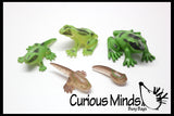 Butterfly (or Frog) Life Cycle Learning Set - Animal Figures with Matching Cards - Montessori Educational Toy