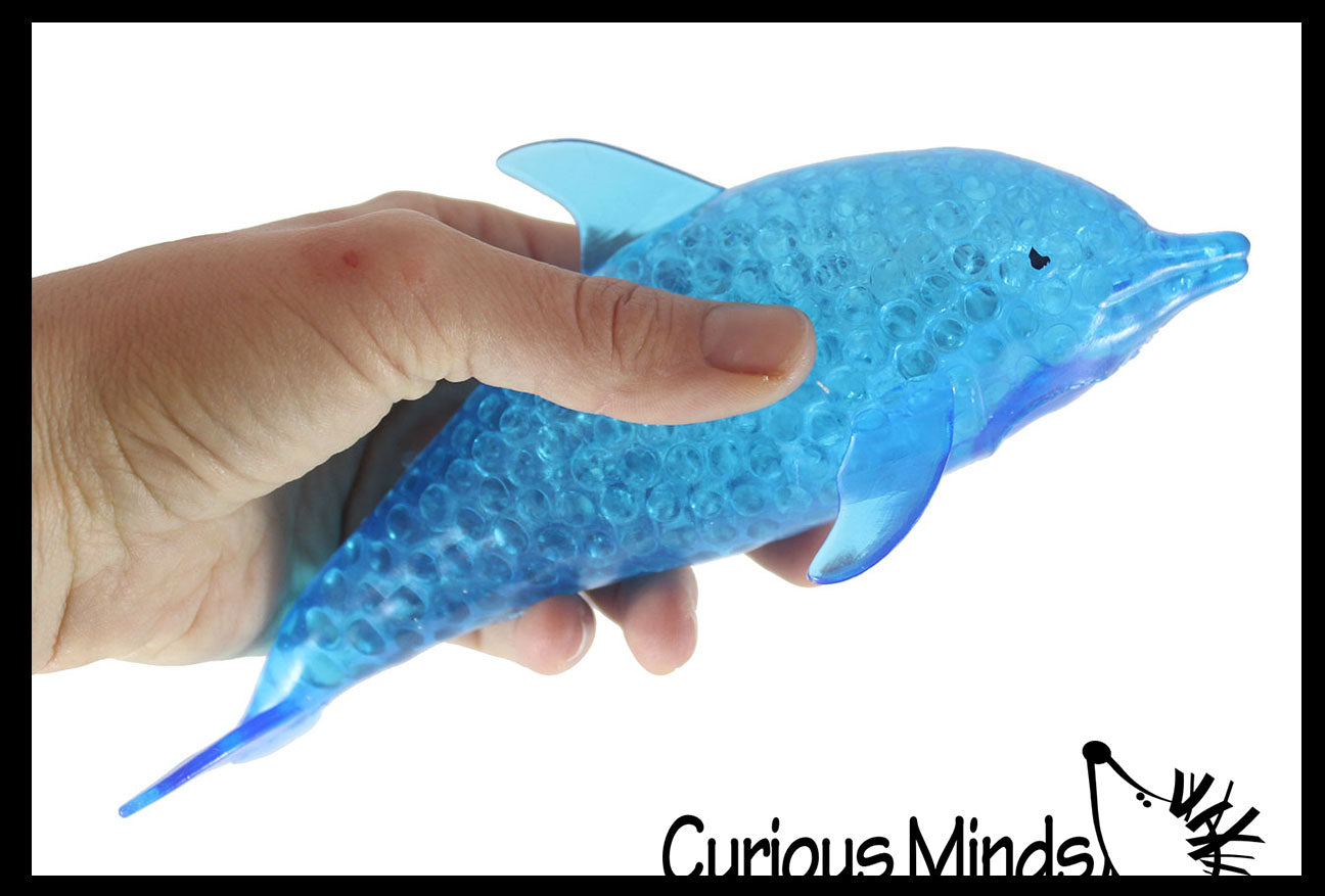 Dolphin shop water toy