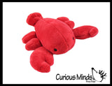 3 Cute Mini Ocean Animal Plush Stuffed Animals- Adorable Mini Plushie - Hammerhead Shark, Jellyfish, Lobster