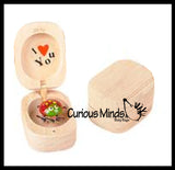 Love bug in Box Novelty Gift - Bugs Legs Wiggle So it Looks Alive - Wooden Hinged Box Nut Ladybug