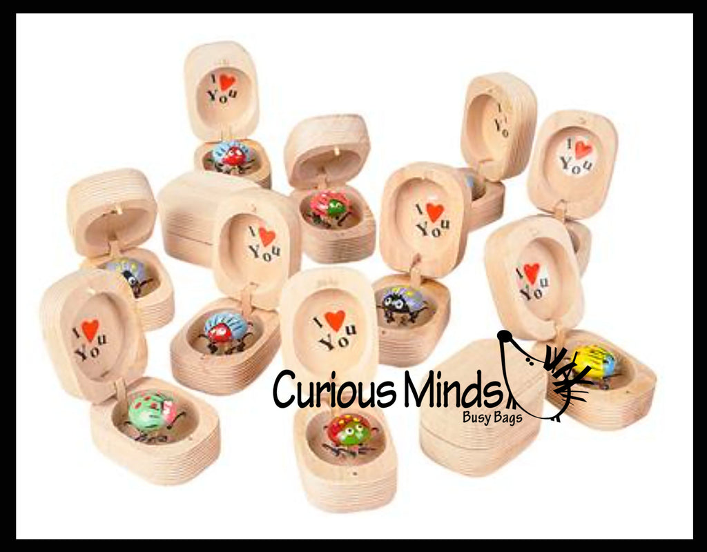 Love bug in Box Novelty Gift - Bugs Legs Wiggle So it Looks Alive - Wooden Hinged Box Nut Ladybug