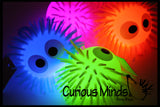Light Up 4.5" Puffer Ball with Eyes -  Flashing Indoor Soft Hairy Air-Filled Sensory Toy