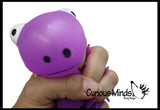 CLEARANCE - SALE - Small Puffer Frog Ball - Squishy Sensory Fidget Ball Toy