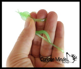 Bag of 36 Mini Stretchy Snakes - Snake Noodle Fidget - Party Favor Prize -  Sensory Fidget Toy