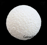 Squishy Moon Slow Rise Stress Ball Toy Set - Educational Learning Toy - Outer Space Planets