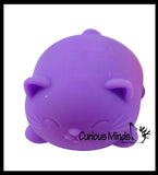 NeeDoh Groovy Cool Cat Soft Doh Filled Stretch Ball - Ultra Squishy and Moldable Relaxing Sensory Fidget Stress Toy Nee Doh