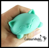 NeeDoh Groovy Cool Cat Soft Doh Filled Stretch Ball - Ultra Squishy and Moldable Relaxing Sensory Fidget Stress Toy Nee Doh