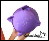 NeeDoh Cat Dohzee Soft Plush Micro Bead Filled Stretch Ball Pillow - Ultra Squishy and Moldable Relaxing Sensory Fidget Stress Toy