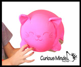 NeeDoh Cat Dohzee Soft Plush Micro Bead Filled Stretch Ball Pillow - Ultra Squishy and Moldable Relaxing Sensory Fidget Stress Toy