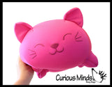 NeeDoh Cat Dohzee Soft Plush Micro Bead Filled Stretch Ball Pillow - Ultra Squishy and Moldable Relaxing Sensory Fidget Stress Toy