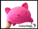 Nee-Doh Cat Dohzee Soft Plush Micro Bead Filled Stretch Ball Pillow - Ultra Squishy and Moldable Relaxing Sensory Fidget Stress Toy