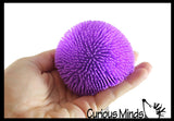 Nee-Doh Shaggy Soft Doh Filled Stretch Ball - Ultra Squishy and Moldable Relaxing Sensory Fidget Stress Toy