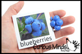 LAST CHANCE - LIMITED STOCK - Montessori Object Match with Cards- Miniature Objects with Matching Cards - 2 Part Cards.  Montessori learning toy, language materials