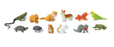 z ALPHABET OBJECTS BY LETTER F