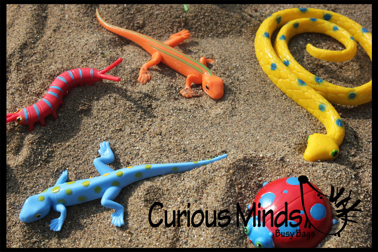 LAST CHANCE - LIMITED STOCK - Pool Dive - Snakes, Lizards and Bug Pool ...