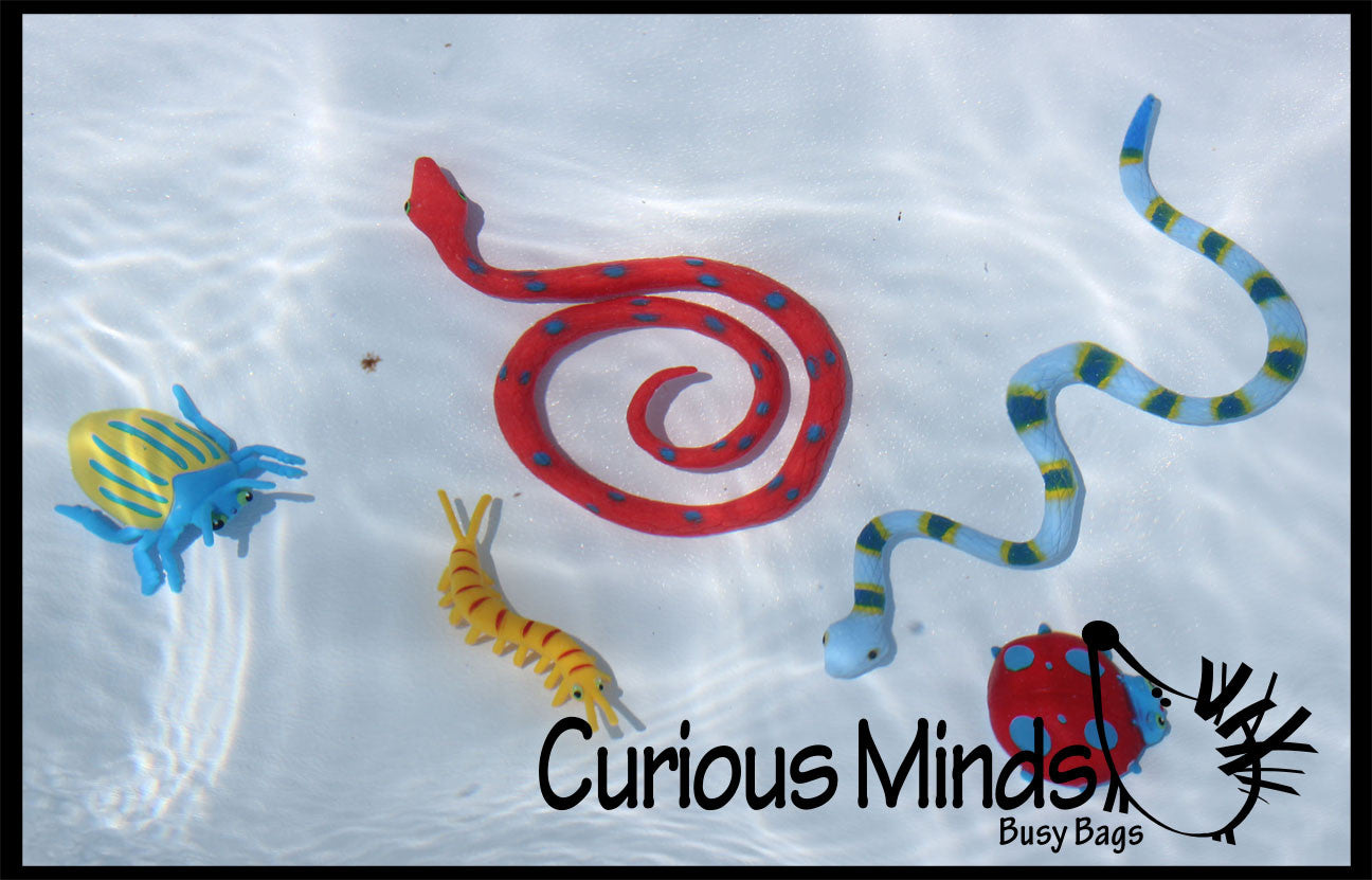 LAST CHANCE - LIMITED STOCK - Pool Dive - Snakes, Lizards and Bug Pool ...