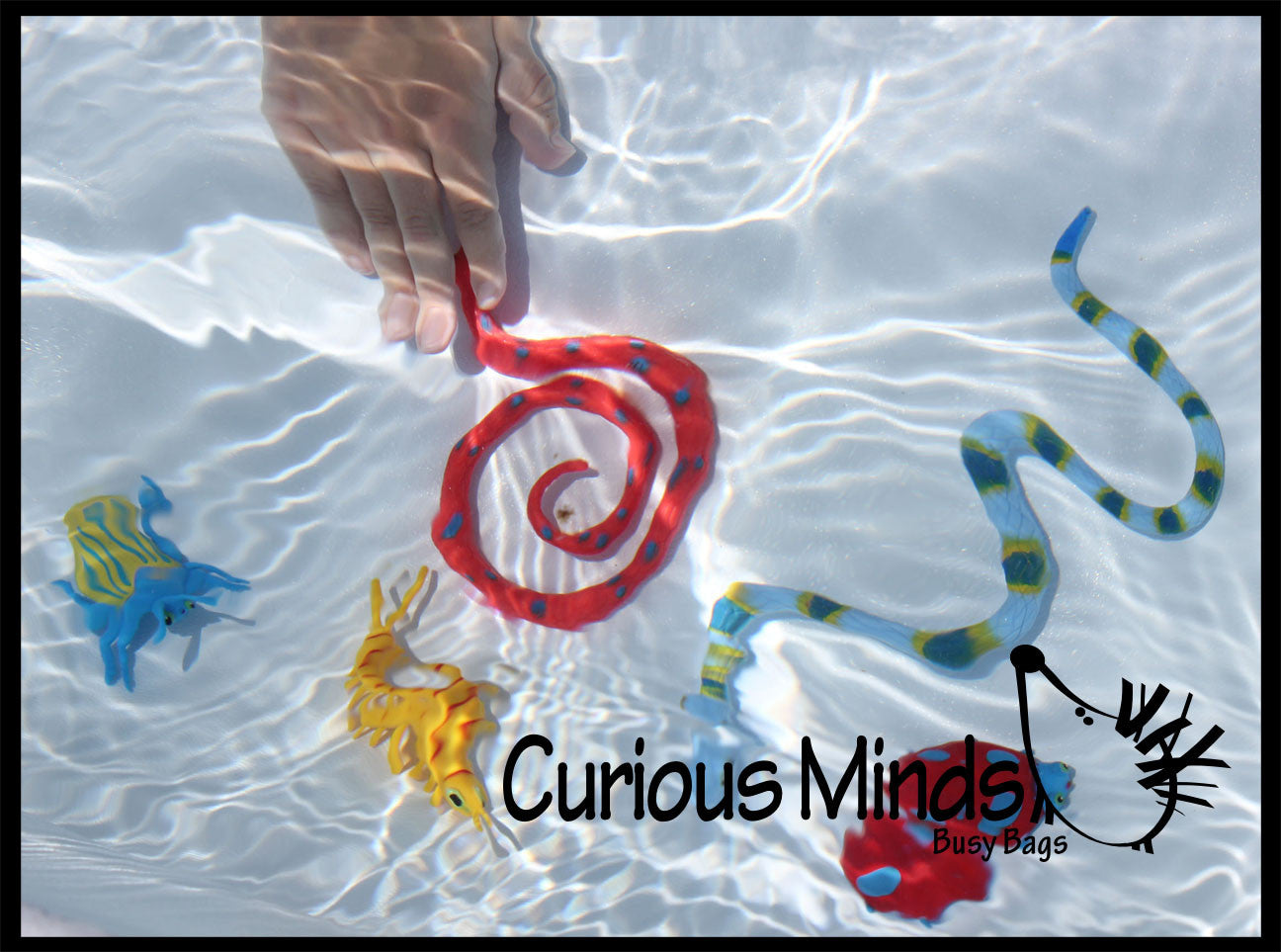 LAST CHANCE - LIMITED STOCK - Pool Dive - Snakes, Lizards and Bug Pool ...