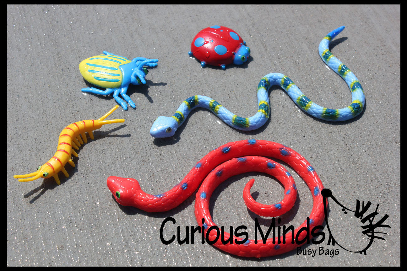LAST CHANCE - LIMITED STOCK - Pool Dive - Snakes, Lizards and Bug Pool ...