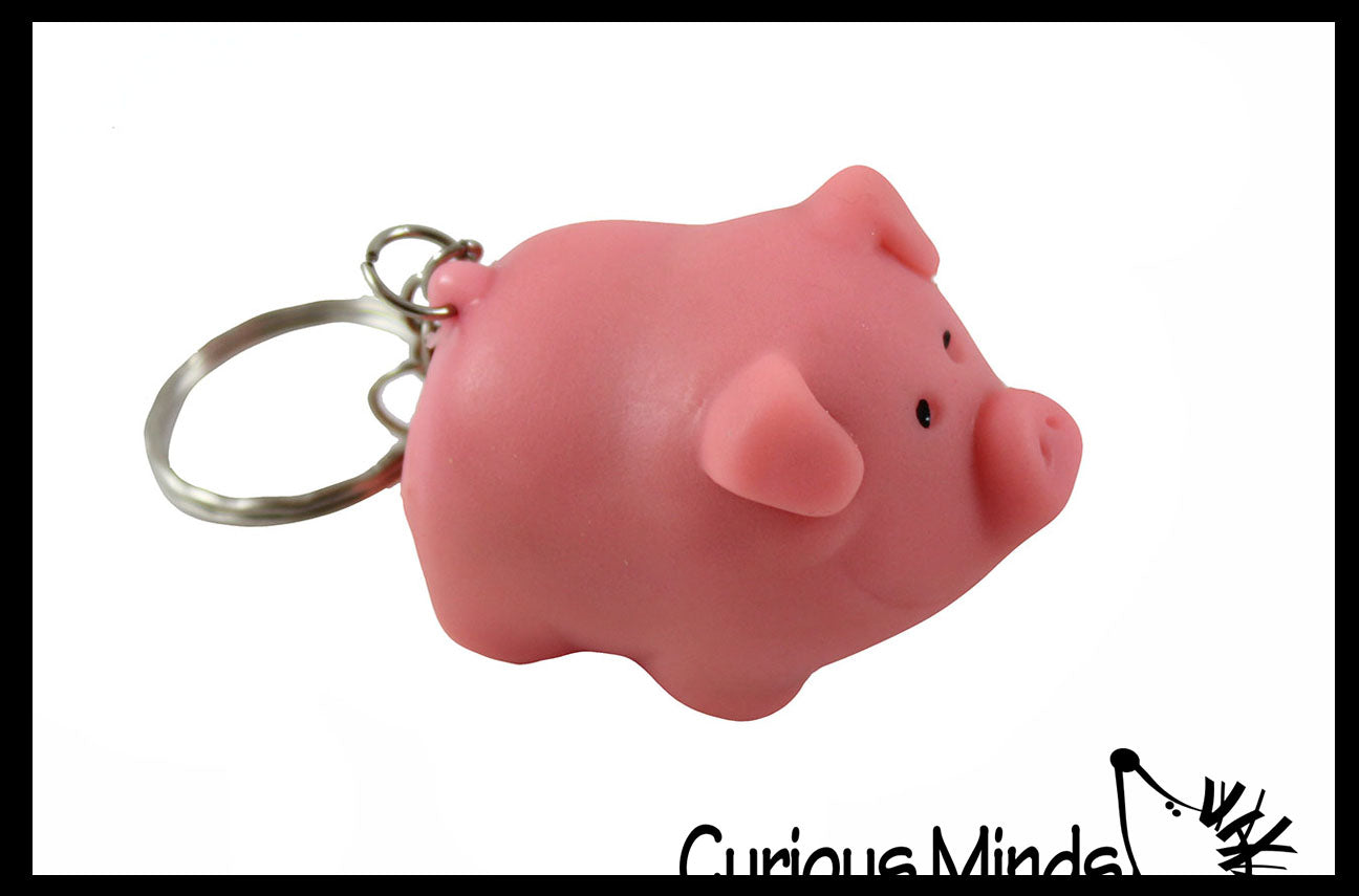 Pooping Pig Novelty Keychain - Sensory, Stress, Fidget Toy Piggy