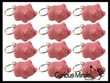 Pooping Pig Novelty Keychain  -  Sensory, Stress, Fidget Toy Piggy