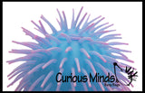 Jumbo 9" Puffer Ball -  Sensory Fidget Toy