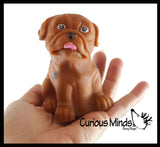LAST CHANCE - LIMITED STOCK - CLEARANCE - SALE - Bulldog Large Puffer Dog Ball - Air Filled Squishy Sensory Fidget Ball Toy