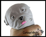 LAST CHANCE - LIMITED STOCK  - CLEARANCE - SALE - Bulldog Large Puffer Dog Ball - Air Filled Squishy Sensory Fidget Ball Toy