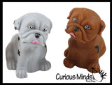LAST CHANCE - LIMITED STOCK - CLEARANCE - SALE - Bulldog Large Puffer Dog Ball - Air Filled Squishy Sensory Fidget Ball Toy