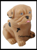 LAST CHANCE - LIMITED STOCK - CLEARANCE - SALE - Bulldog Large Puffer Dog Ball - Air Filled Squishy Sensory Fidget Ball Toy