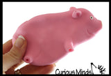 Pig Sand Filled Squishy - Piggie Moldable Sensory, Stress, Squeeze Fidget Toy ADHD Special Needs Soothing