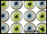Realistic Human Eye Super Bouncy Balls - Eyeball Novelty Party Favor Toy Ophthalmologist, Optometry Anatomy