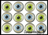 Realistic Human Eye Super Bouncy Balls - Eyeball Novelty Party Favor Toy Ophthalmologist, Optometry Anatomy
