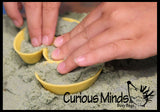 LAST CHANCE - LIMITED STOCK - CLEARANCE - SALE - Number and Operator Educational Sand Molds for Kids