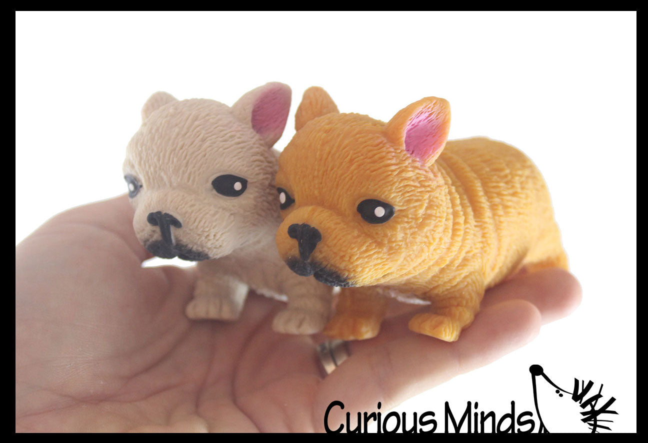 Curious Minds Busy Bags Set of 3 Different Breed Stretchy Dogs - Corgi,  Dachshund, and Bulldog - Crushed Bead Sand Filled - Doggy Lover Sensory  Fidget