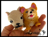 Set of 2 Different Breed Stretchy Dogs - Corgi and Bulldog -  Crushed Bead Sand Filled - Doggy Lover Sensory Fidget Toy Weighted