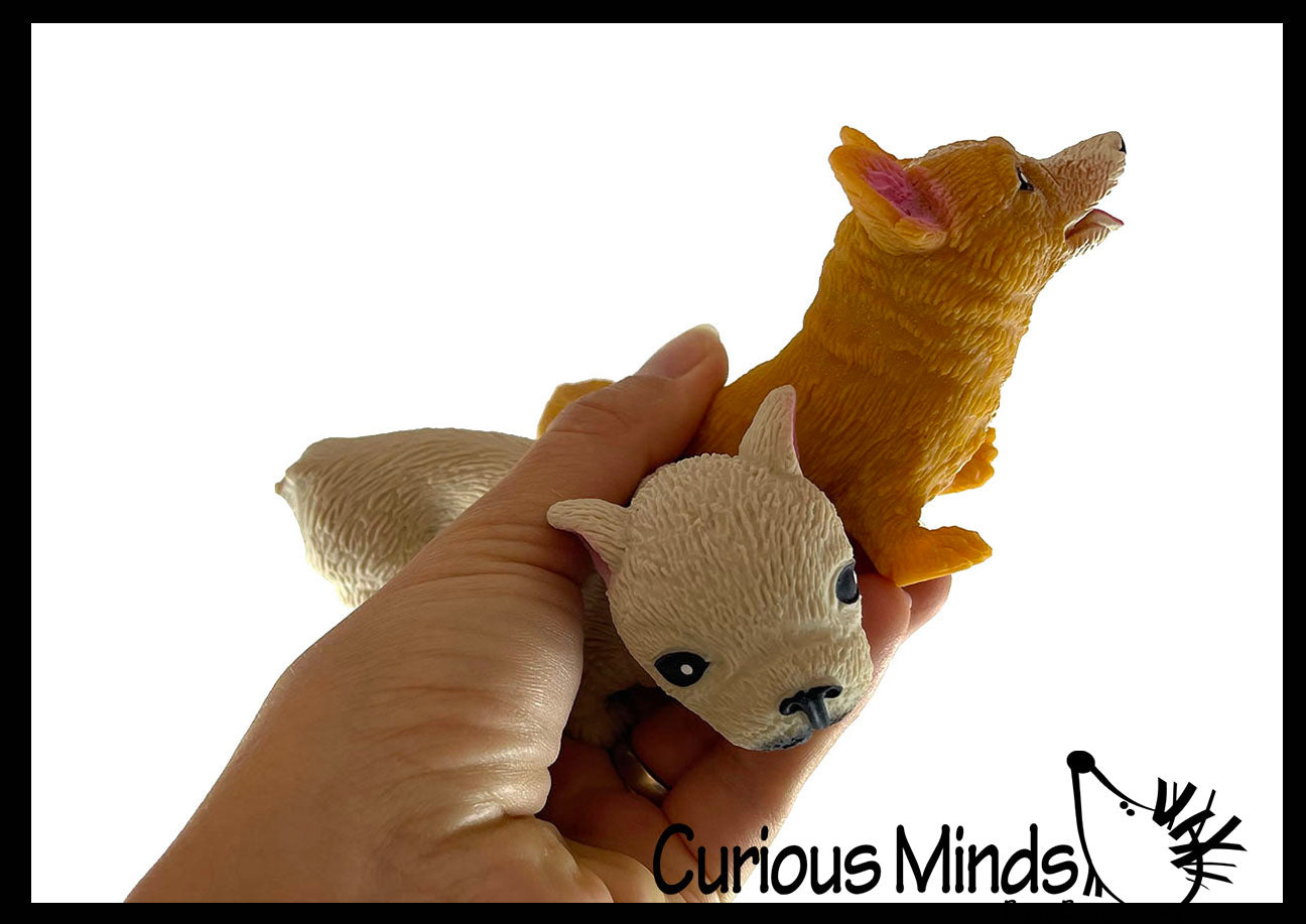 Curious Minds Busy Bags Set of 3 Different Breed Stretchy Dogs - Corgi,  Dachshund, and Bulldog - Crushed Bead Sand Filled - Doggy Lover Sensory  Fidget