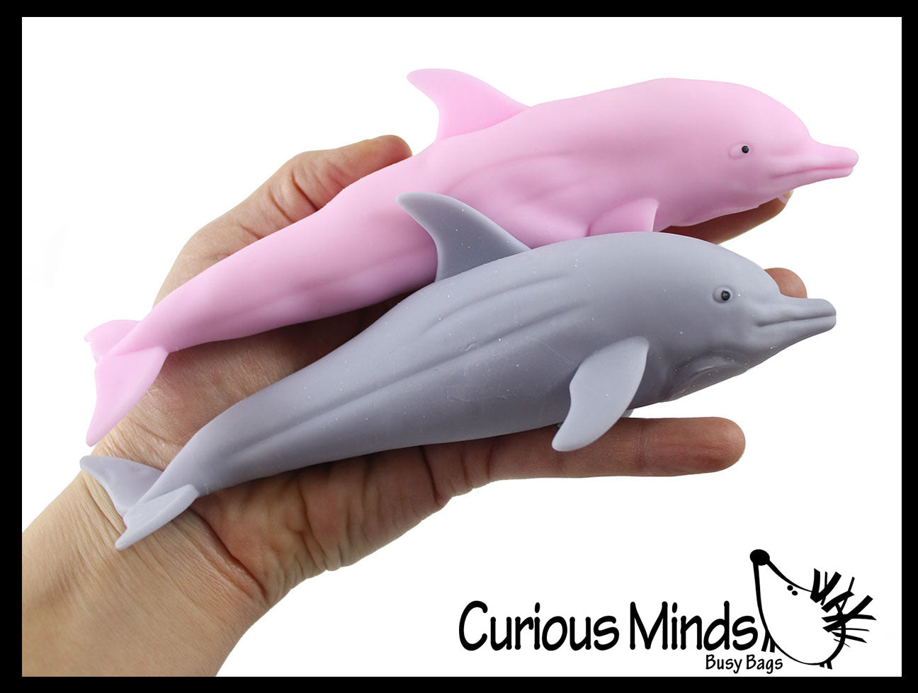 Sentosphère - Colorizzy Dolphins - My Bulle Toys