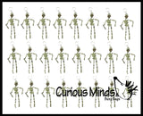 LAST CHANCE - LIMITED STOCK - Moving Skeleton Keychains - Doctor - Anatomy - Halloween Spooky Favor