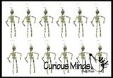 Moving Skeleton Keychains - Doctor - Anatomy - Halloween Spooky Favor