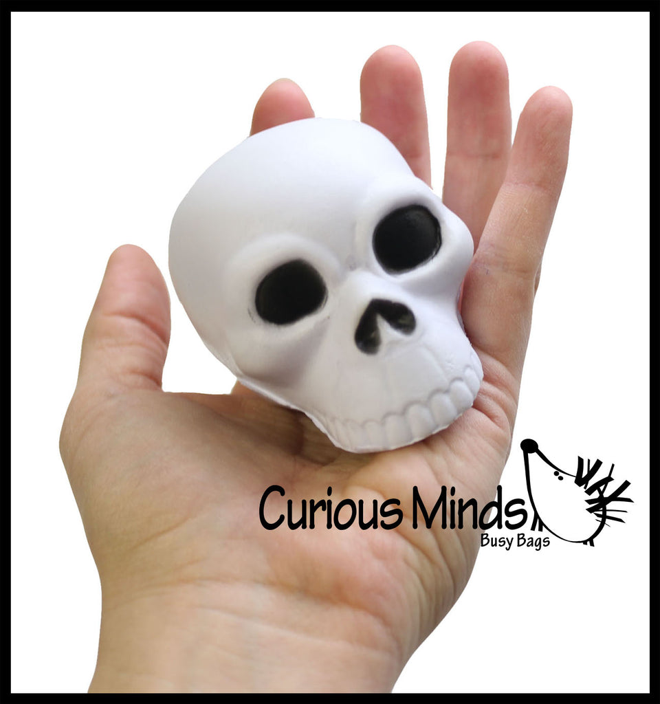 Skull Stress Ball -  Sensory, Stress, Fidget Toy - Doctor, Radiologist, X Ray