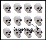 Skull Stress Ball -  Sensory, Stress, Fidget Toy - Doctor, Radiologist, X Ray