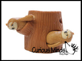 Sloths in Tree Stump - Peek a Boo Stretchy Fidget Toy