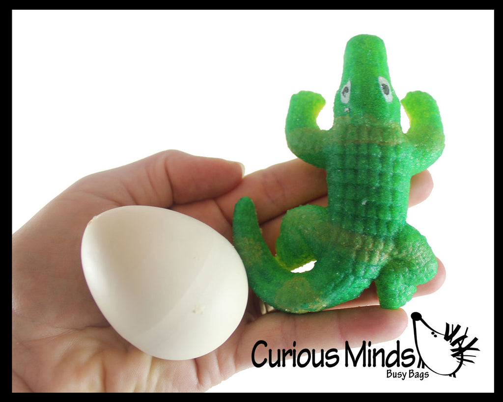 Hatch and Grow a Alligator Egg in Water - Add Water and it Grows Gator - Critter Toy Bath - Soak in Water and It Expands
