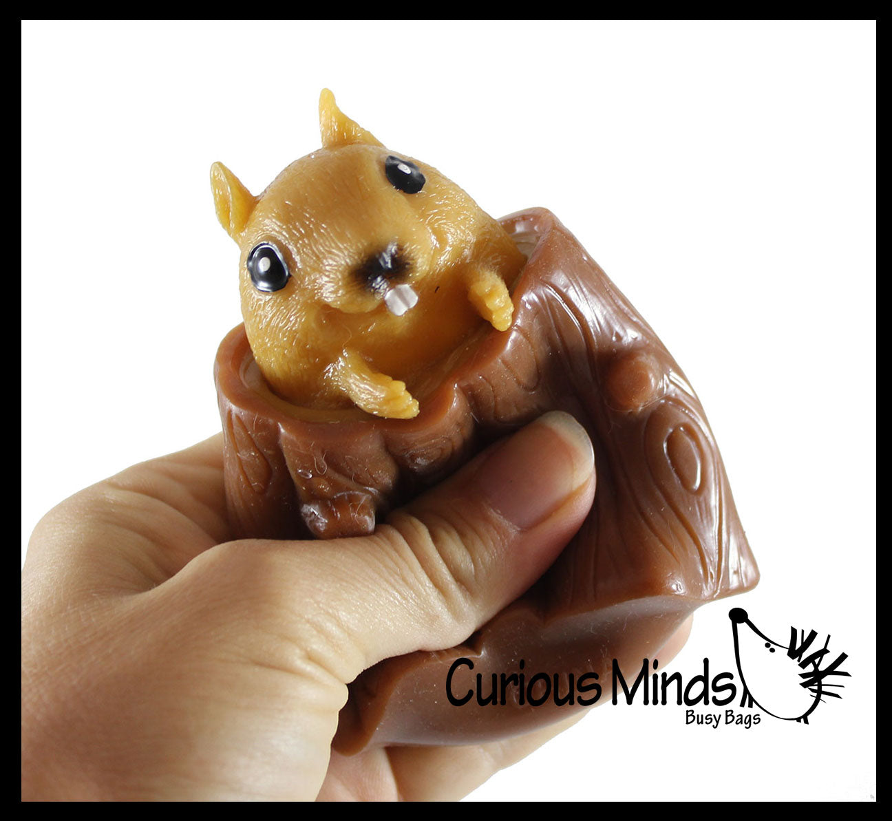 Squirrel in Stump - Adorable Pop Up - Cute Squeeze Toy - Fun Fidget 